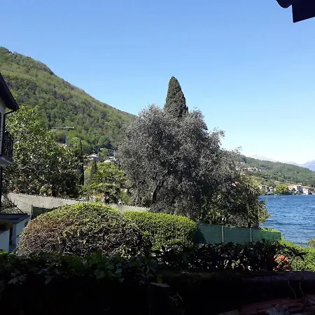 Il Cortiletto Daire